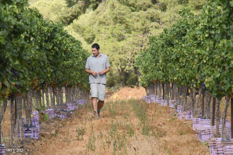 Israeli Winery Releases Latest Acclaimed Selections 