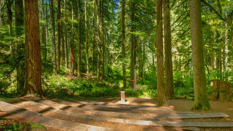 Silver Falls State Gets Unique Outdoor Summer Camp: Oregon Travel