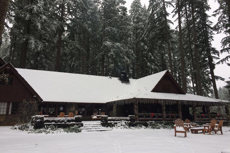 Holidays in Oregon State Parks: Sale on Permits, Silver Falls Festival 