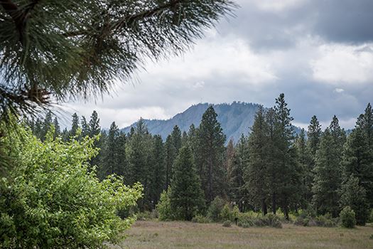 Two Final Free Washington State Park Days This Month